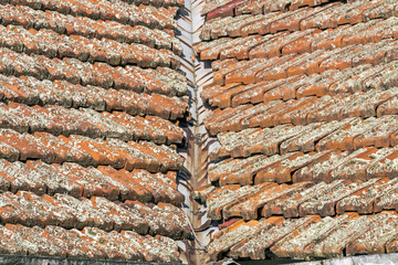  Lichen Covered Clay Roof Tiles and Rusted Valley Iron
