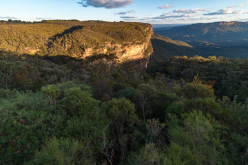 Fototapeta na wymiar Blue mountains landscape of mountains and eucalyptus forest