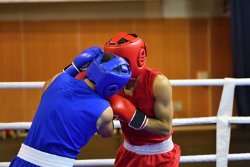 The duel of two boxers
