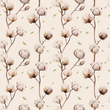Watercolor vintage background with twigs and cotton flowers boho