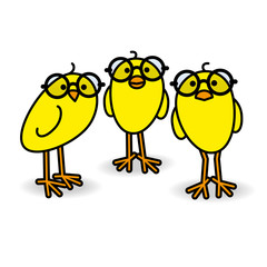 Three Yellow Chicks Wearing Black Round Glasses Staring