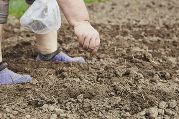 Farmer's female hands planting seed in soil