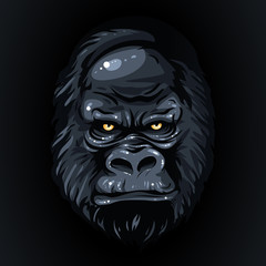 drawing realistic black face gorilla, yellow eyes