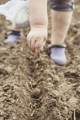 Farmer's female hands planting seed in soil