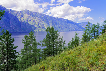 Fototapeta na wymiar Altay landscape