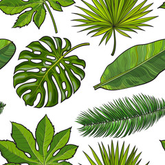 Naadloze patroon van hand getrokken tropische palmbladeren op witte achtergrond, schets vectorillustratie. Handgetekende realistische tropische palmbladeren als naadloos patroon, achtergrond, achtergrond, textielontwerp