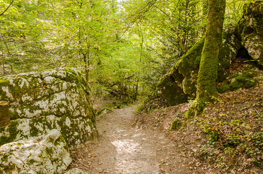 Twann, Twannbachschlucht, Schlucht, Wanderweg, Waldweg, Wald, Felsen, Herbst, Herbstwanderung, Jura, Schweiz