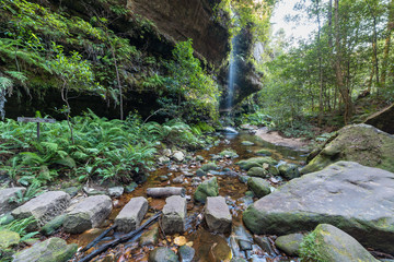Obraz premium Grand Canyon Walking Track in Blue Mountains