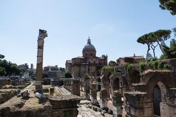 Fototapeta premium Ruins of ancient Rome, Italy.