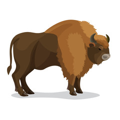 Aurochs animal in brown colour with horns isolated on white © Shanvood