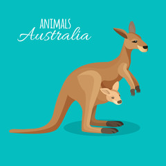 Austrastralia kangaroo animal mother with child in pocket on blue