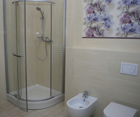 Interior bathroom (shower with one door, built-in toilet and bidet). On the walls of beige tiles direct and structural, decoration with purple and blue orchids.