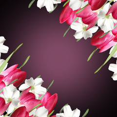 Beautiful floral background with tulips and daffodils 