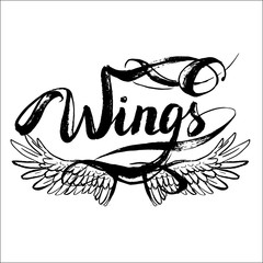 angel wings vector, lettering, drawing