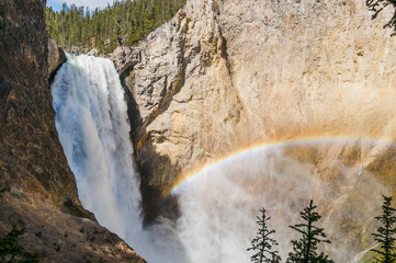 Fototapeta premium Yellowstone famous Lower Falls with rainbow.