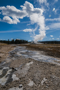 Vertical view of famous Old Faithful geyser in Yellowstone NP.