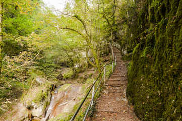 Twann, Dorf, Twannbachschlucht, Schlucht, Wanderweg, Wald, Waldweg, Felswand, Moos, Herbst, Herbstwanderung, Jura, Schweiz