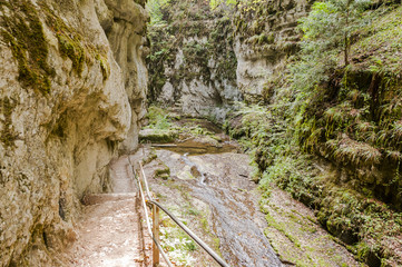 Twann, Twannbachschlucht, Schlucht, Felswand, Wanderweg, Moos, Herbst, Herbstwanderung, Jura, Schweiz