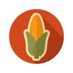 Corn flat icon. Vegetable vector