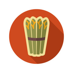 Asparagus flat icon. Vegetable vector