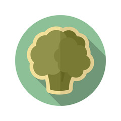 Cauliflower flat icon. Vegetable vector