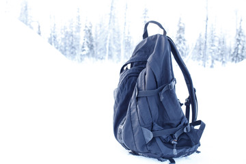 backpack in a forest background