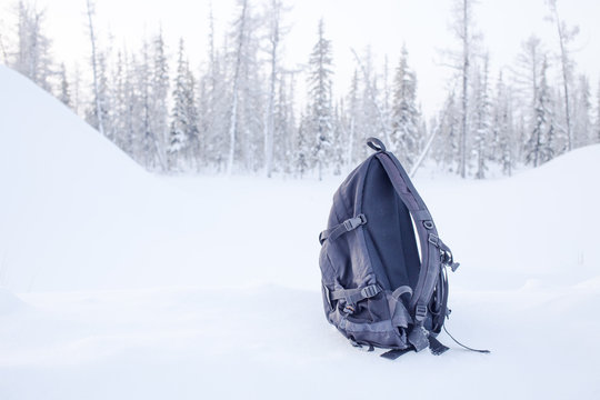 backpack in a forest background