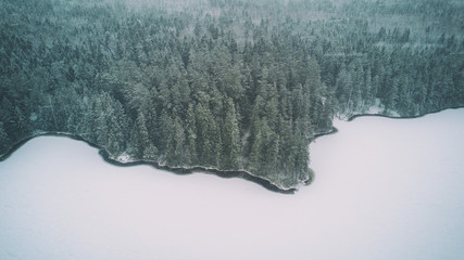 Aerial view of the snow-covered fir forest in the winter and a frozen lake.