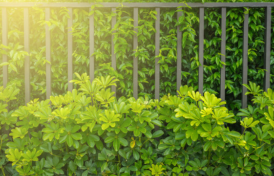 Fence Of Residential House Modern Style,Metal Fence 