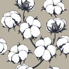 Vector seamless pattern with cotton plants. Branches with flowers background.