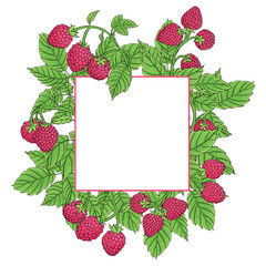 raspberry frame