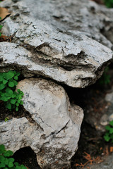 stone