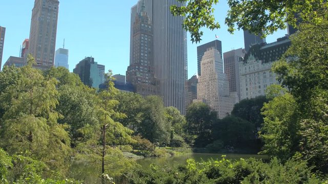LOW ANGLE VIEW: Famous Manhattan skyline view from New York City Central park