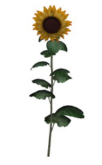 Fototapeta premium Golden sunflower - 3D render
