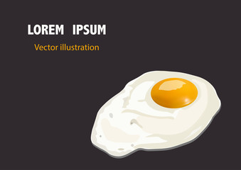 Fresh fried egg on a dark background.Vector Illustration.