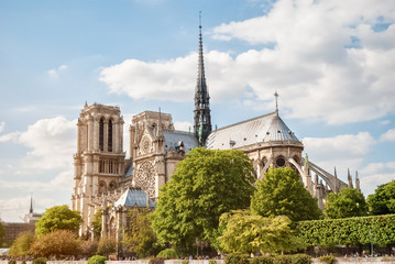 Fototapeta na wymiar The Cathedral of Notre Dame de Paris, France, Spring