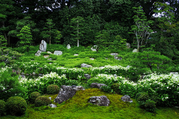 Japanese Garden