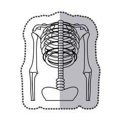 human skeleton icon image, vector illustration design