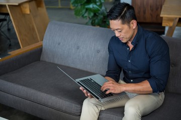 Business executive using laptop