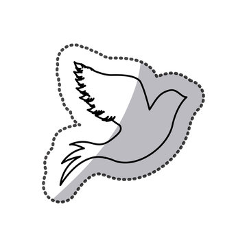 contour pigeons icon image, vector illustration design