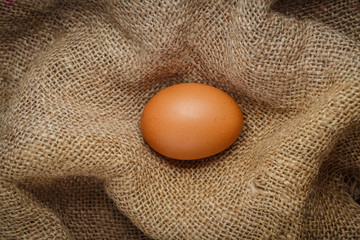egg