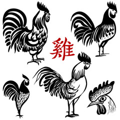 Ink hand drawn vector Rooster. Chinese brush painting. Chinese Translation: Rooster.