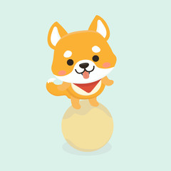 Vector illustration of cute Shiba Inu dog. 
