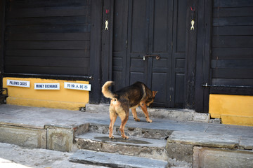 Hoi An Ancient Town