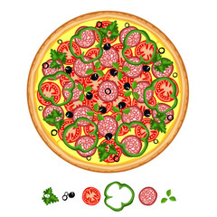 Tasty Pizza, pizza with various ingredients.