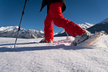 Raquettes en pleine nature