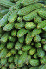 Many Ridge gourds famous vegetables in India