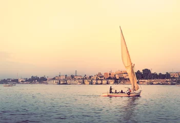 Poster Felucca at sunset - travel on sail vessel on the Nile river, romantic cruise and adventure in Egypt. Traditional egyptian sailboat on horizon. Skyline of Luxor on riverside. © Repina Valeriya
