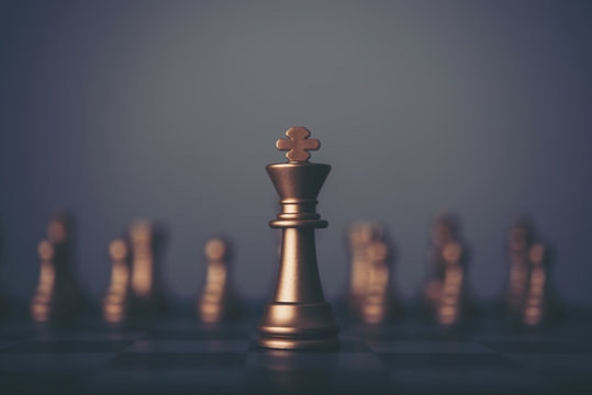 King and Knight of chess setup on dark background . 