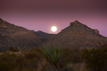 Sunset in the Big Bend National Park, Texas, USA
